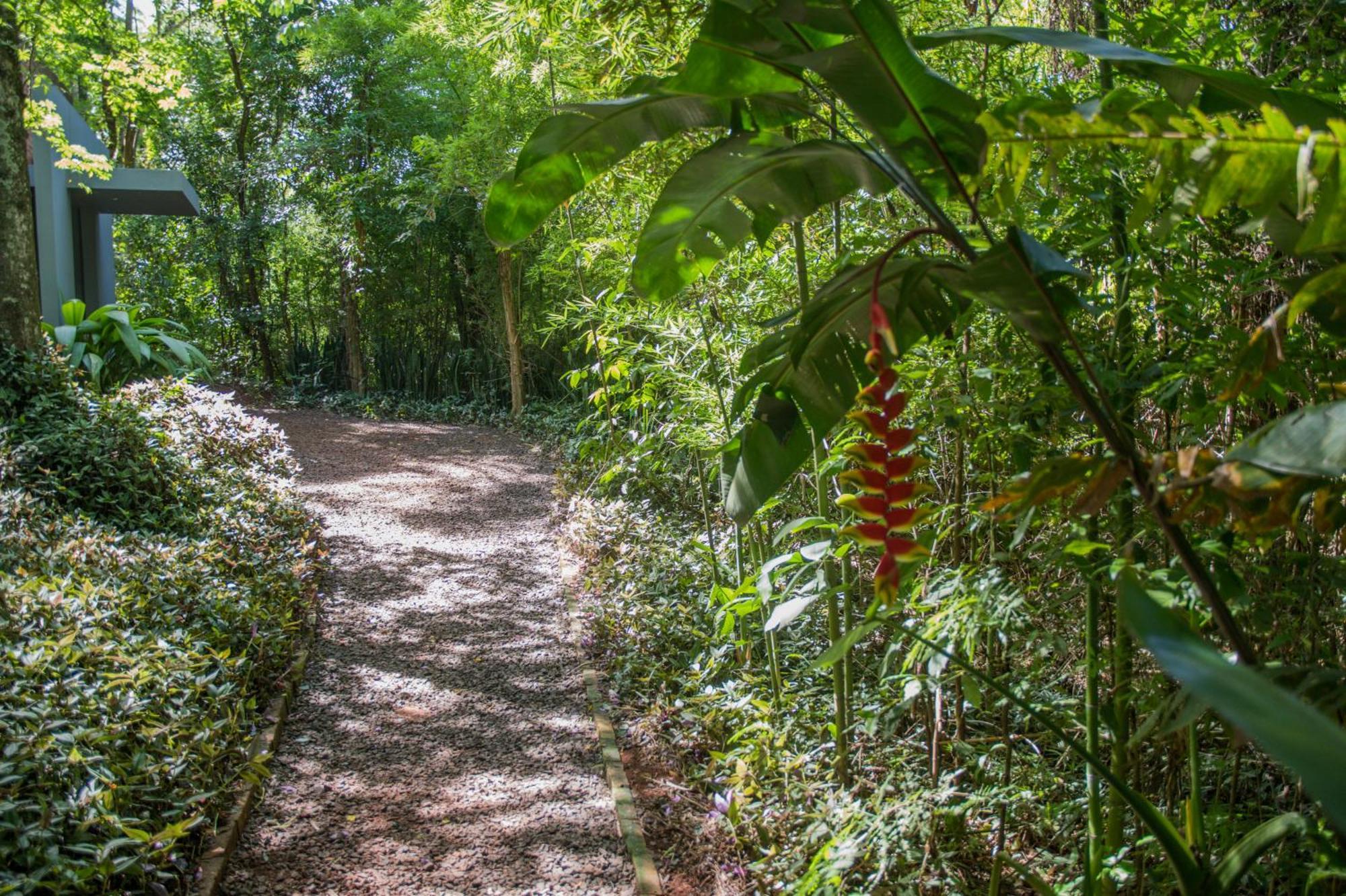 Raices Amambai Lodges Puerto Iguazú Eksteriør billede