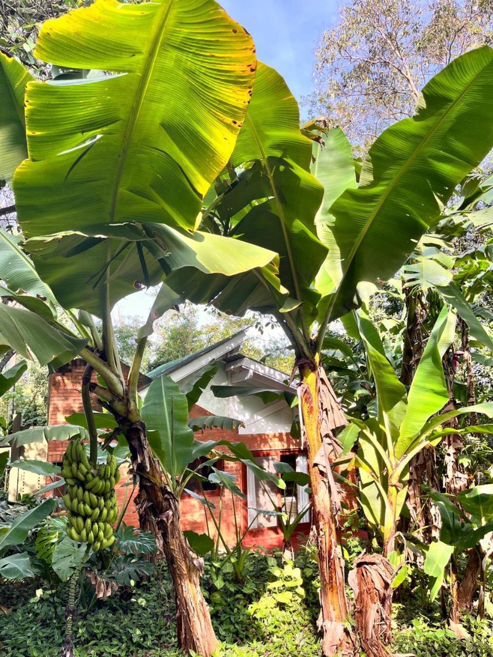 Raices Amambai Lodges Puerto Iguazú Eksteriør billede