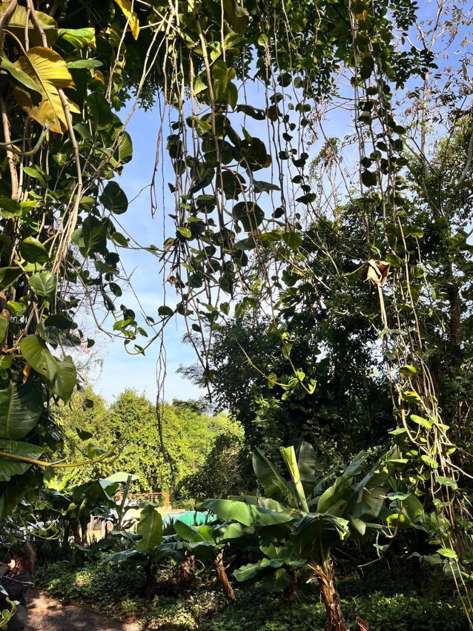 Raices Amambai Lodges Puerto Iguazú Eksteriør billede